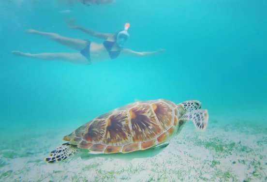 Acuario Beach Inn San Vicente  Zewnętrze zdjęcie